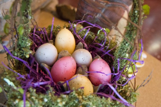 untitledNov 12_-137DGoldens