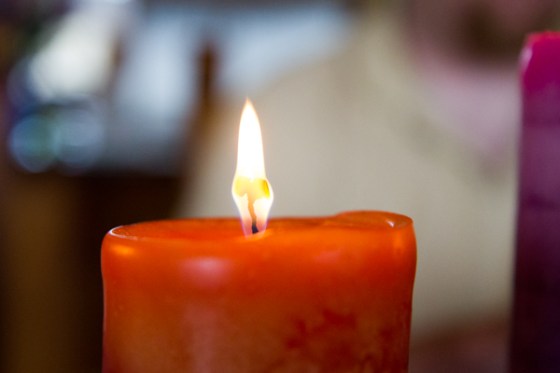 untitledNov 12_-140DGoldens