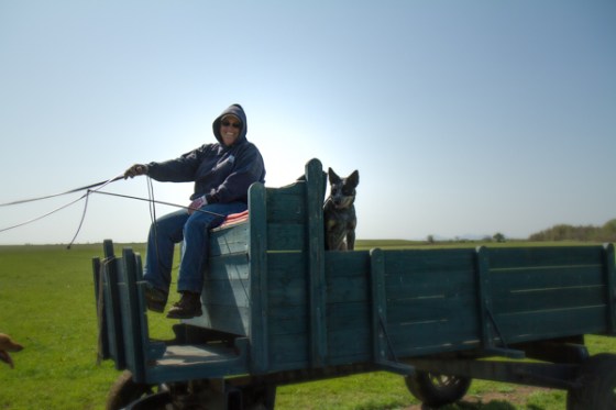 untitledNov 12_-180-Edit-EditDGoldens