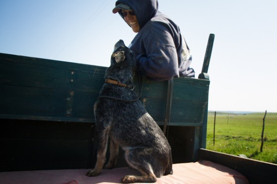 untitledNov 12_-212-EditDGoldens