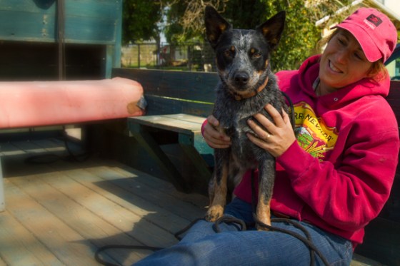 untitledNov 12_-236-Edit-EditDGoldens