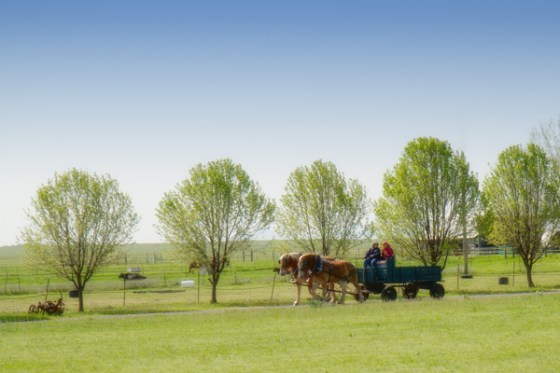 untitledNov 12_-251-Edit-Edit-EditDGoldens