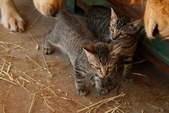 Run for Your Life161