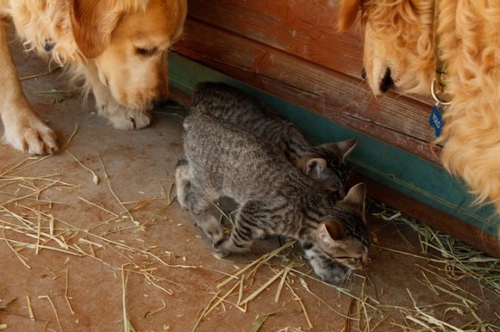 Run for Your Life162