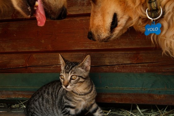 Run for Your Life171