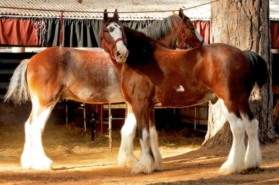 _MG_0064 - Version 2 - Version 3