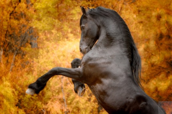 _MG_1192 - Version 2