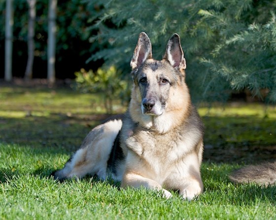 IMG_4006 - Version 3