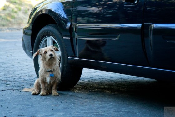 _MG_0465 - Version 2