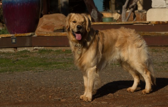 Across The Great Divide-28