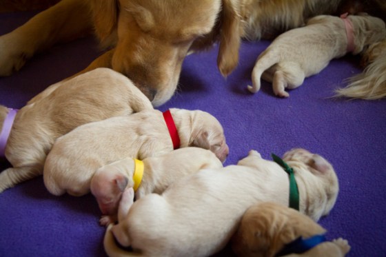 Across The Great Divide-3