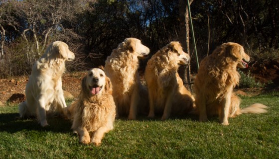 Across The Great Divide-33