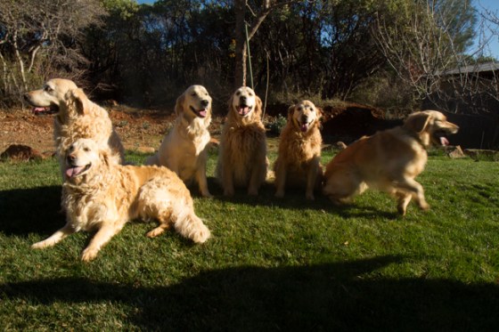 Across The Great Divide-34