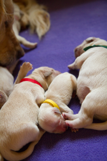 Across The Great Divide-4