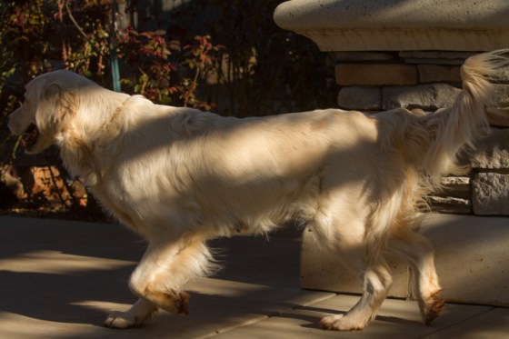 Across The Great Divide-40