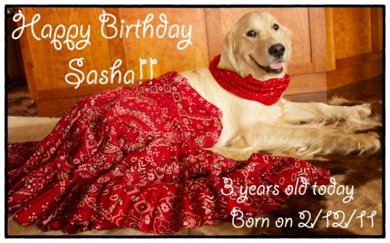 happy BD Sasha 2