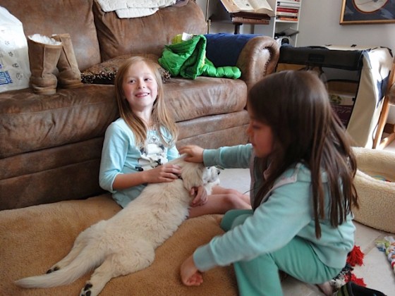 Mail Attachment copy