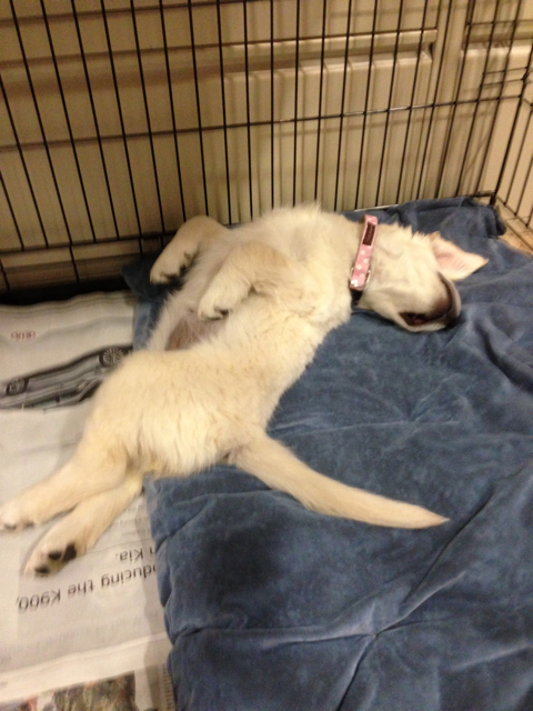 Morgen_sleepingOffice