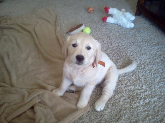 My first day in my new home.