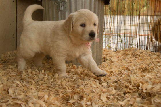 Surrounded by Beauty-11