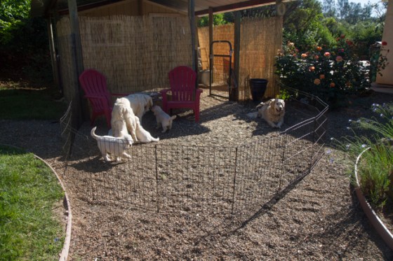 Surrounded by Beauty-14