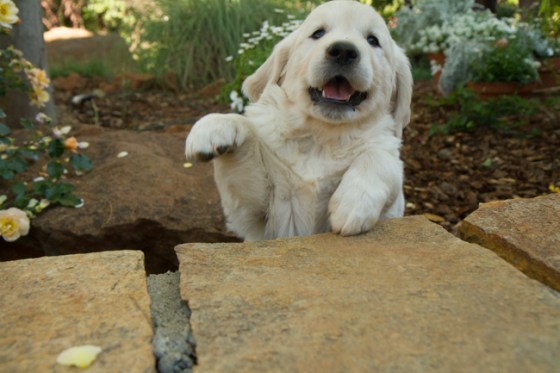 Surrounded by Beauty-15