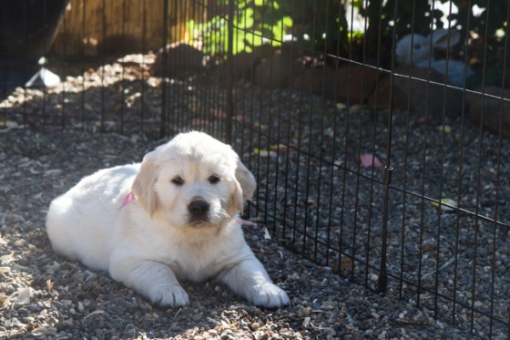 Surrounded by Beauty-17