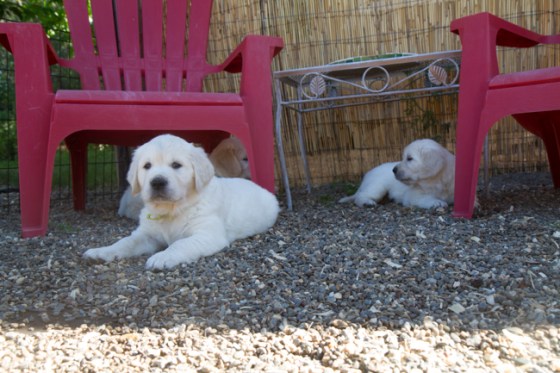 Surrounded by Beauty-18