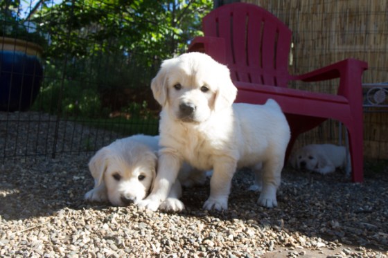 Surrounded by Beauty-19