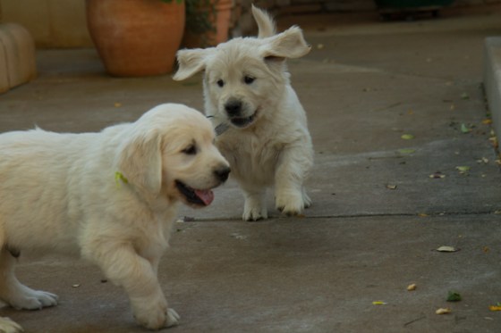 Surrounded by Beauty-21