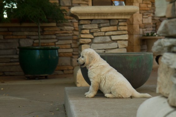 Surrounded by Beauty-23