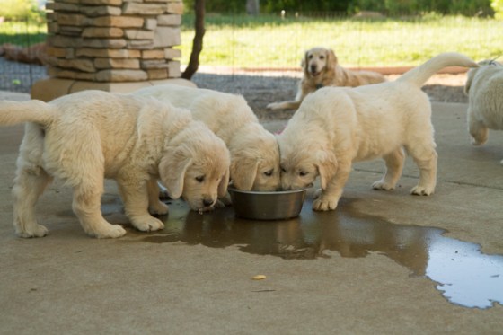 Surrounded by Beauty-24