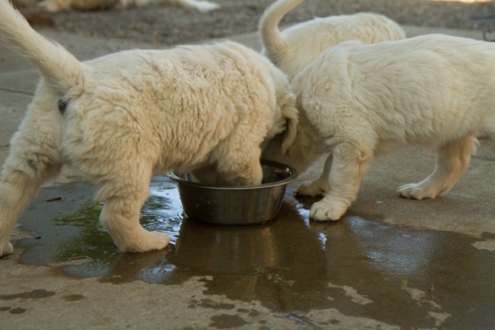 Surrounded by Beauty-26