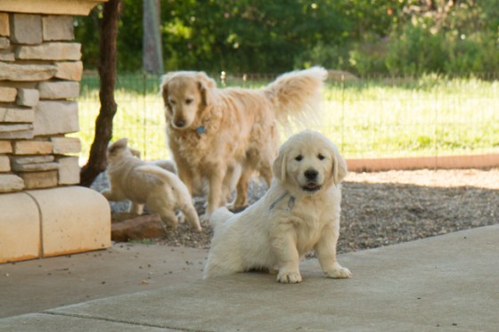 Surrounded by Beauty-27