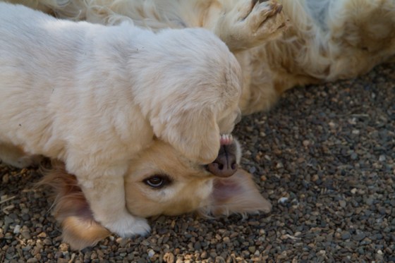 Surrounded by Beauty-30