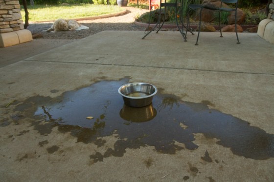 Surrounded by Beauty-30