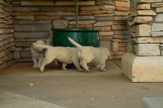 Surrounded by Beauty-32