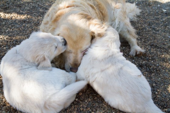 Surrounded by Beauty-34