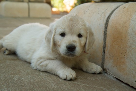 Surrounded by Beauty-35