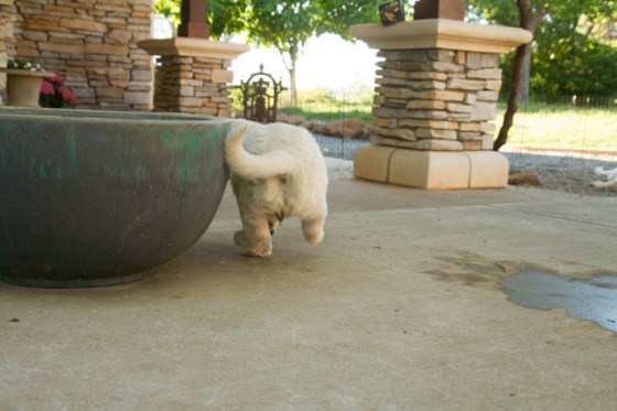 Surrounded by Beauty-36