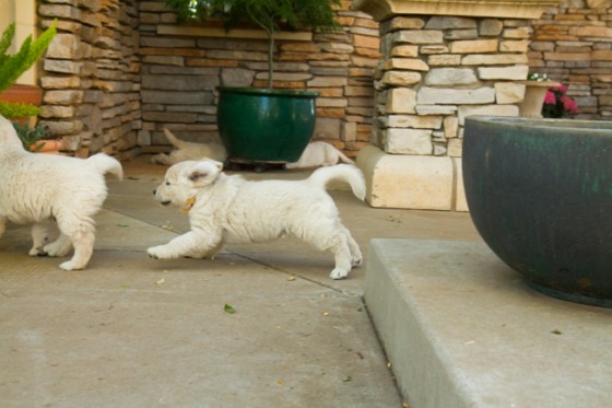 Surrounded by Beauty-38