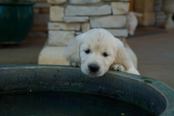 Surrounded by Beauty-4