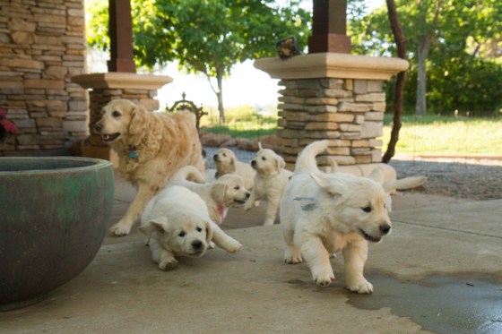 Surrounded by Beauty-42