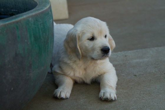 Surrounded by Beauty-5