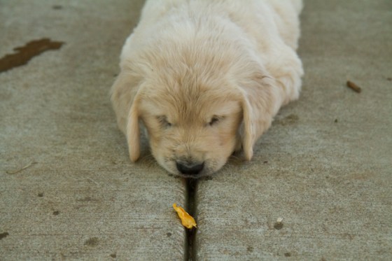 Surrounded by Beauty-52