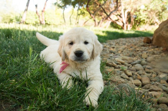 Surrounded by Beauty-56