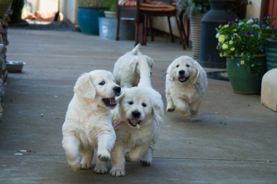 Surrounded by Beauty